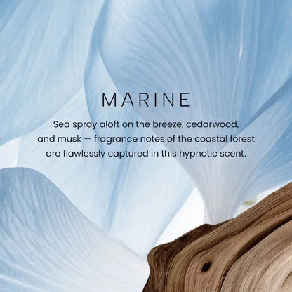 marine-premium-reed-diffuser