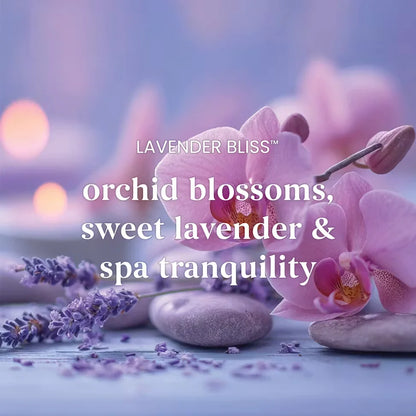 lavender-bliss