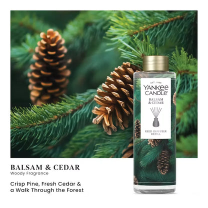 balsam-cedar