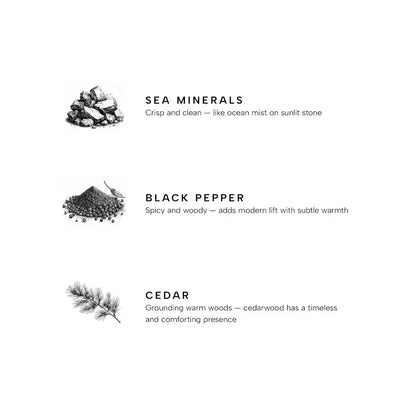 marine-premium-reed-diffuser