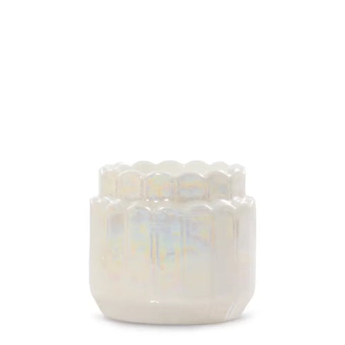 lustra-shell-tea-light-candle-holder