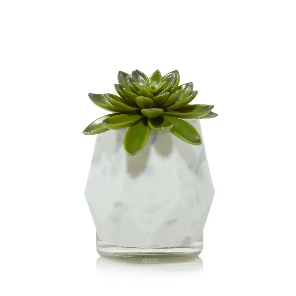 faceted-succulent-scentplug-diffuser-with-light